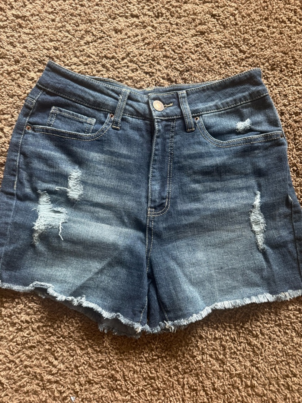 Time and Tru Dark Blue Distressed Jean Shorts